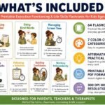 SEL flashcards 7 categories overview